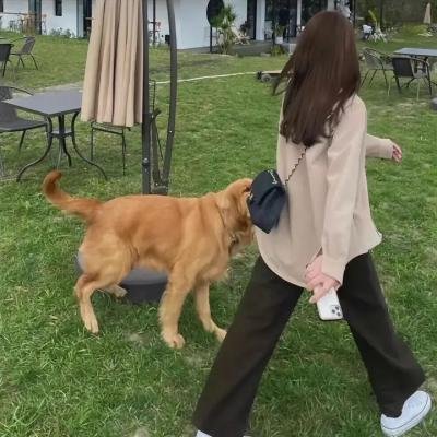 这个男人来自疯狂世界